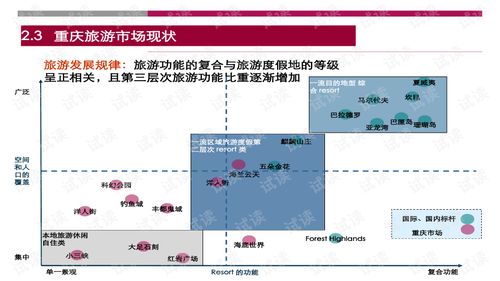 世聯(lián)重慶某大型旅游地產(chǎn)項目策劃報告