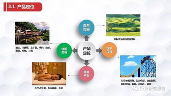 張家界龜仙谷旅游景區開發項目商業計劃書